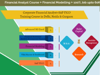 Financial Modeling Certification Course in Delhi, SLA 110007.