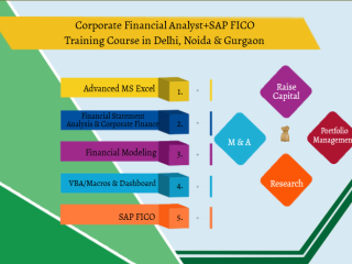 Job Oriented Financial Modelling Training Course in Delhi, 110069. Best Online Live Financial Analyst Training in Patna by IIT Faculty