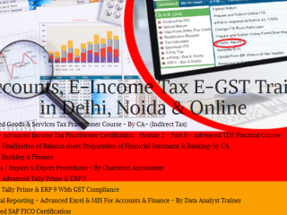 Best Accounting Course in Delhi, "Learn  Direct Tax Code 2025" 110083, [ GST Update 2025] by SLA Accounting Institute,