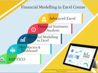 Financial Modeling Training Course in Delhi,110037. Best Online Live Financial Analyst Course in Nagpur by IIT Faculty , [ 100% Job in MNC]