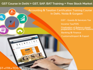 Best GST Practical Course in Delhi, 110050, SLA Accounting Institute, Taxation and Tally Prime Institute in Delhi, Noida