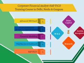 Financial Modeling Training Course in Delhi, 110079. Best Online Live Financial Analyst Training in Patna by IIT Faculty , [ 100% Job in MNC]