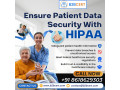 hipaa-certification-in-new-york-protect-patient-data-with-b2bcert-small-0